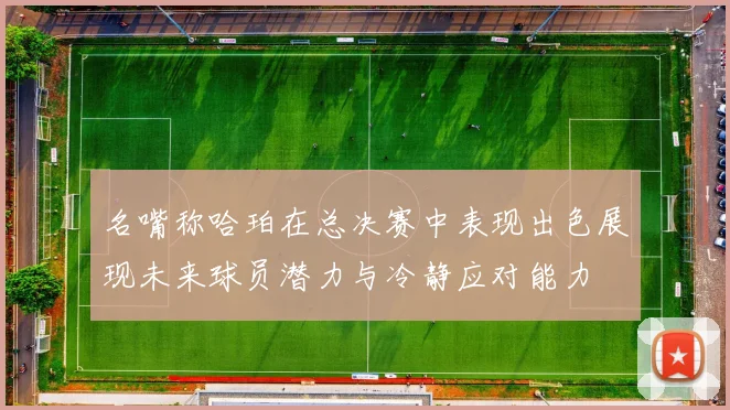 名嘴称哈珀在总决赛中表现出色展现未来球员潜力与冷静应对能力