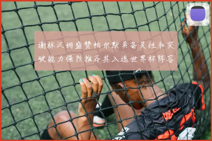 谢林汉姆盛赞帕尔默具备灵性和突破能力强烈推荐其入选世界杯阵容